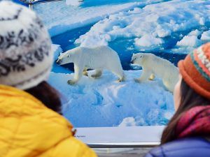 Лекция о технологиях для освоения Арктики состоится в «МИСиС»
