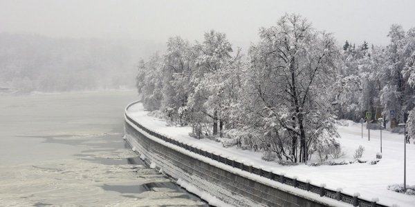 Снег и метель ожидаются в Москве 11 марта