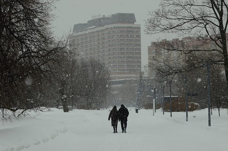 Синоптики спрогнозировали теплую погоду и снегопад в субботу в столице