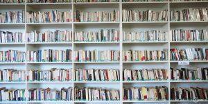 Бахрушинский музей презентует 50 книг на фестивале «Красная площадь»