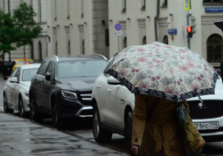 Дождь и переменная облачность ожидаются в столице 20 апреля