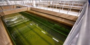 Технологии очистки воды на Люберецких очистных сооружениях отметили премией